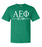 Alpha Epsilon Phi Comfort Colors Established Sorority T-Shirt