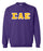 Sigma Alpha Epsilon Classic Colors Sewn-On Letter Crewneck