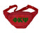 Phi Kappa Psi Letters Layered Fanny Pack