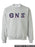 Theta Nu Xi Crewneck Letters Sweatshirt