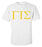 Gamma Iota Sigma Letter T-Shirt