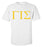 Gamma Iota Sigma Letter T-Shirt