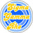 Sigma Gamma Rho Funky Circle Sticker