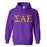 Sigma Alpha Epsilon World Famous Hoodie