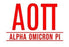 Alpha Omicron Pi Custom Greek Letter Sticker - 2.5