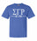 Sigma Gamma Rho Comfort Colors Established Sorority T-Shirt