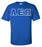 Alpha Epsilon Pi Lettered T Shirt