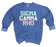 Sigma Gamma Rho Comfort Colors Pastel Sorority Sweatshirt