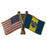 Delta Upsilon Fraternity Flag Pin