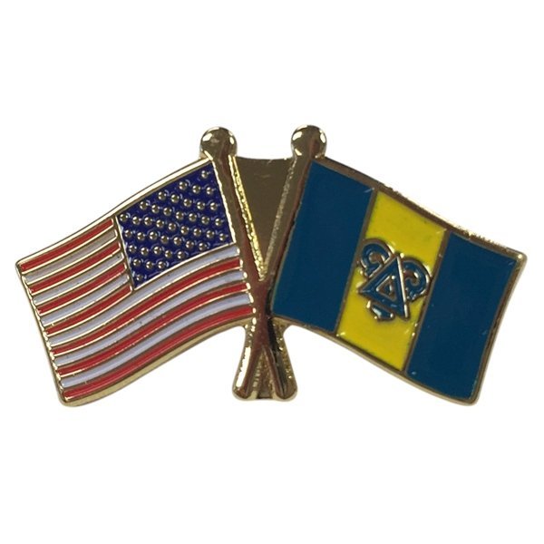 Delta Upsilon USA / Fraternity Flag Pin