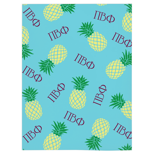 Pi Beta Phi Pi Beta Phi Pineapple Minky Blankets