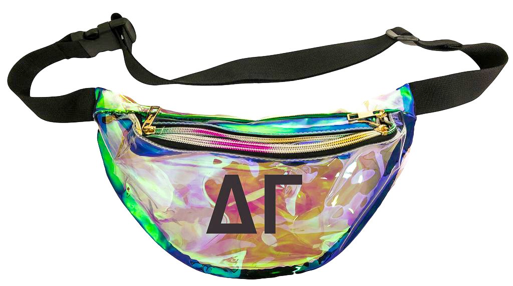 Delta Gamma Holographic Fanny Pack