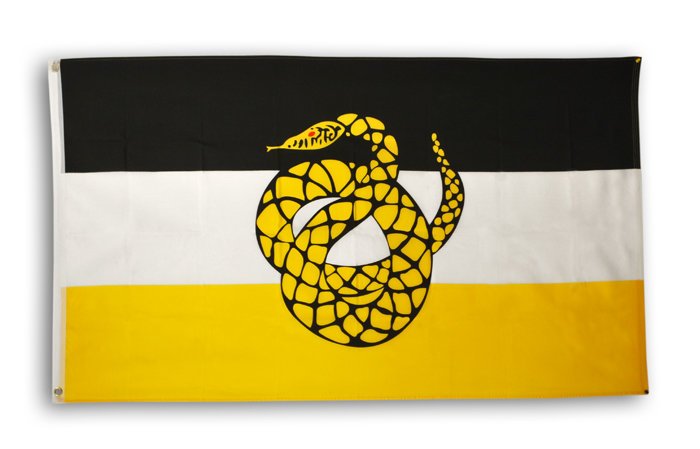 Sigma Nu Flag