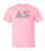 Delta Zeta Lettered T Shirt