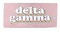 Delta Gamma Plush Retro Beach Towel