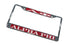 Alpha Phi License Plate Frame